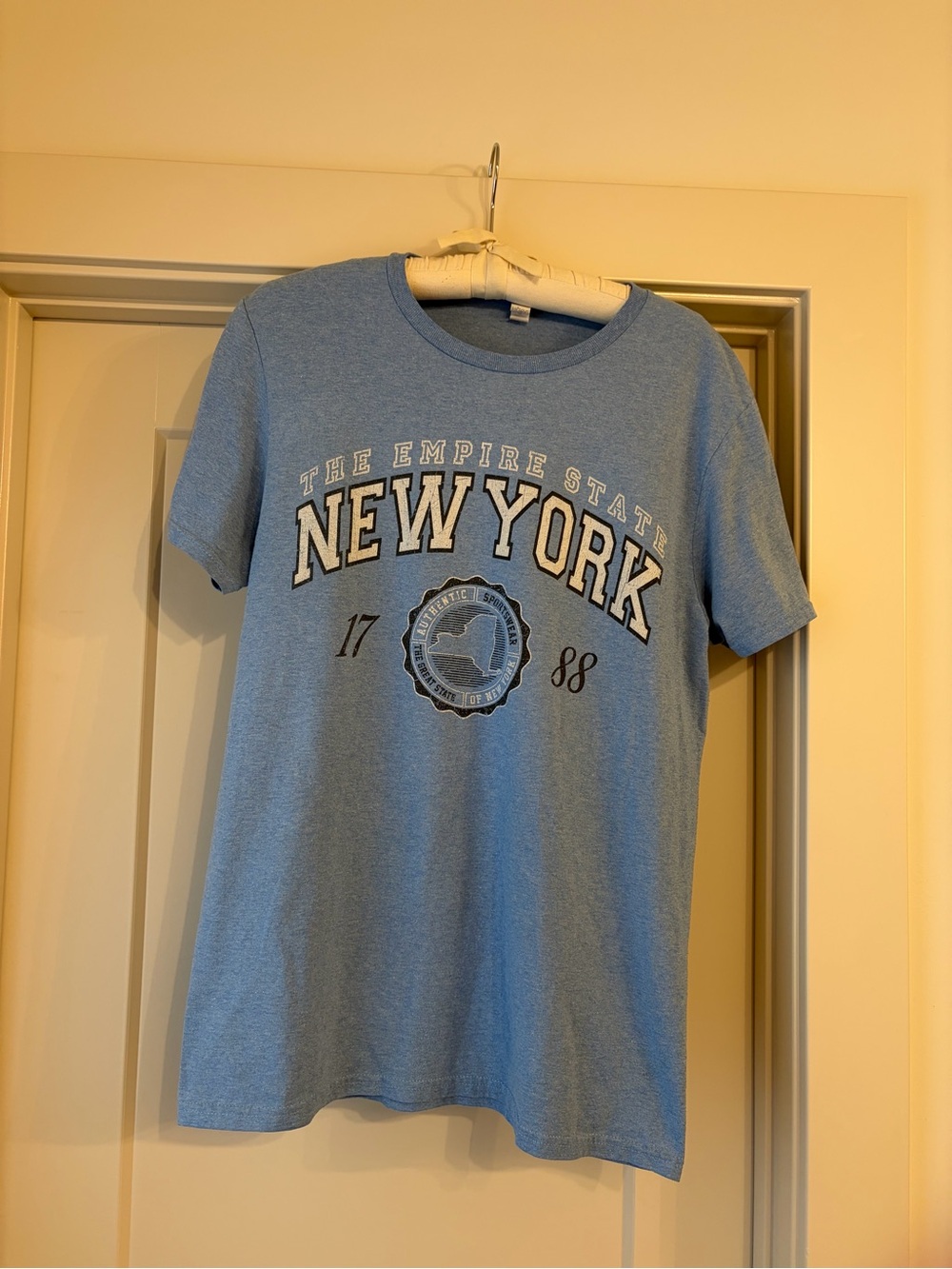Adult M New York State shirt